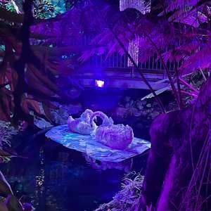 Meet your Posher, Lyndsey